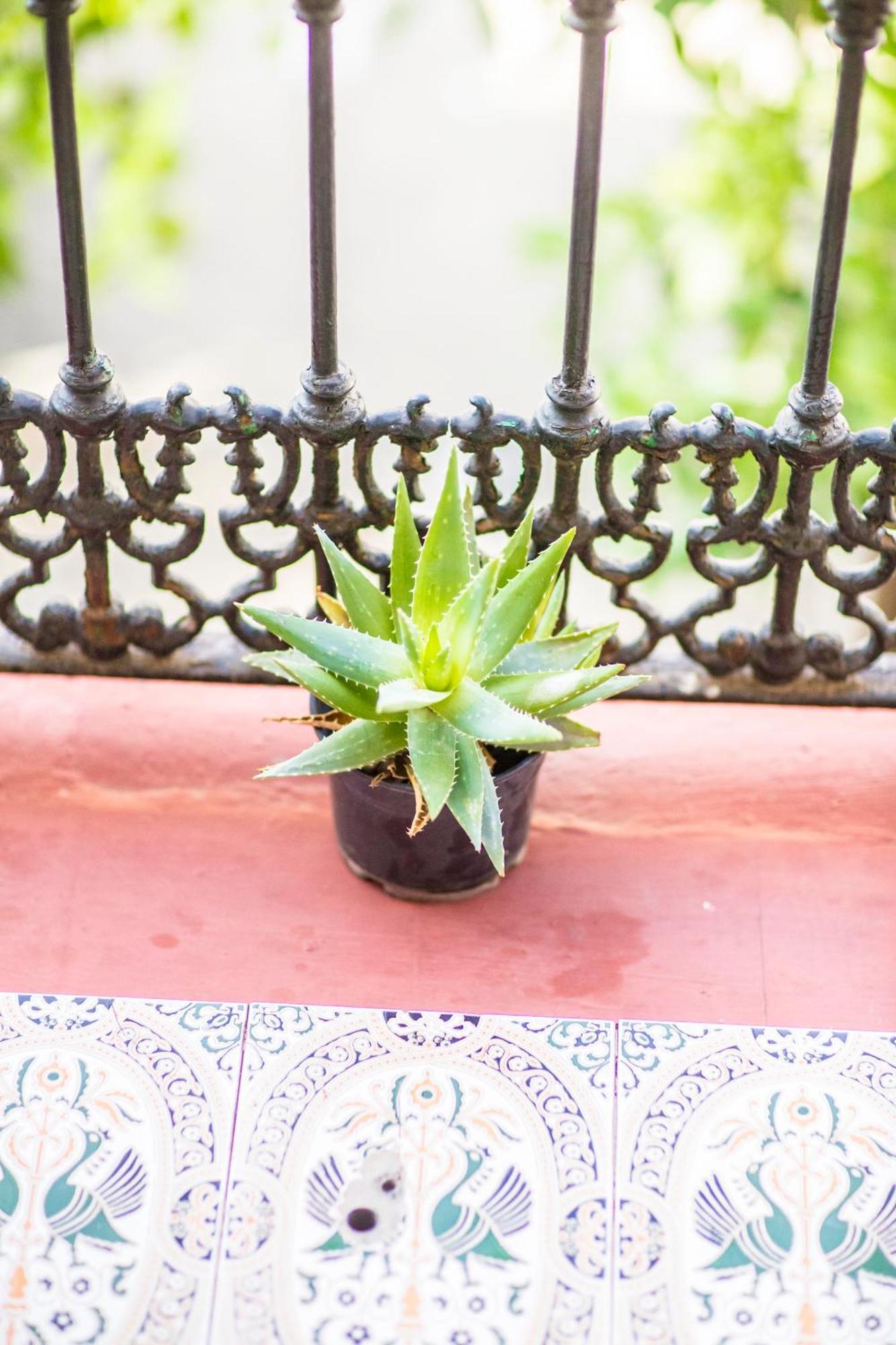 Guest house Dulces Suenos Seville
